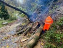 Gli Aib alla Comba Carbonieri Gli Aib alla Comba Carbonieri