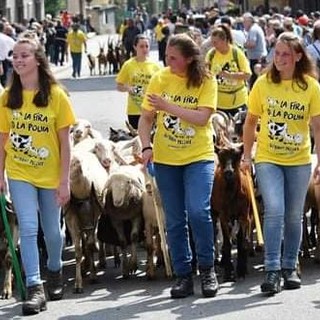 Vent’anni di Poujà: da stasera Bobbio Pellice celebra la salita agli alpeggi