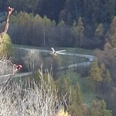 L’elisoccorso intervenuto a Bobbio Pellice