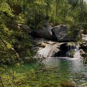 Il caldo spinge l’assalto ai tumpi: pioggia di multe per divieto di sosta