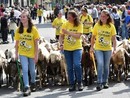 (Foto di repertorio)