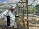 Davino Fazia con i suoi amici a quattro zampe