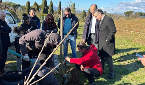 La piantumazione dei meli a Colleferro La piantumazione dei meli a Colleferro
