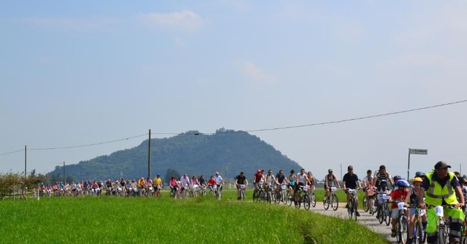 (Foto di repertorio) (Foto di repertorio)