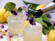 Sfide tra cappuccini e cocktail sparkling al Cfiq di Frossasco