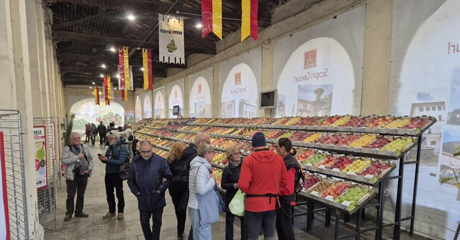 Si chiude il sipario su Tuttomele 2025 con tre giorni di musica, gusto e tradizione a Cavour Si chiude il sipario su Tuttomele 2025 con tre giorni di musica, gusto e tradizione a Cavour