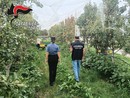 Pinerolese, controlli nelle aziende agricole