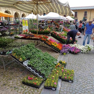 Alla scoperta di fiori e del centro storico per un fine settimana ai piedi della Rocca