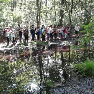 (Foto di repertorio)