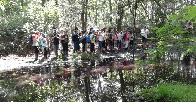 (Foto di repertorio)