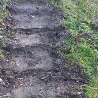 Alcuni dei gradini vandalizzati