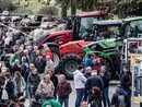 Una foto della scorsa edizione di Claudio Bonifazio Una foto della scorsa edizione di Claudio Bonifazio