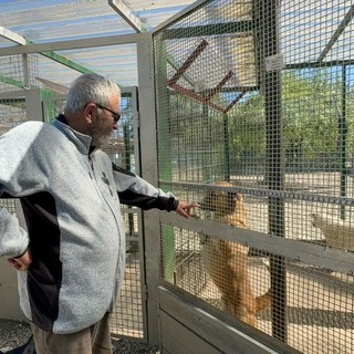 Davino Fazia con i suoi amici a quattro zampe
