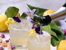 Sfide tra cappuccini e cocktail sparkling al Cfiq di Frossasco