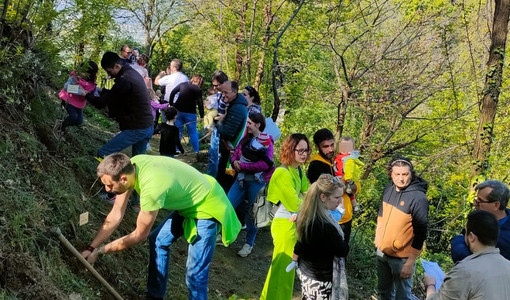 (Foto di repertorio) (Foto di repertorio)