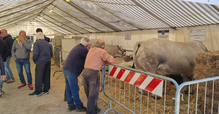 (Foto di repertorio)