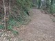 La pista ripulita