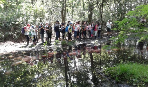 (Foto di repertorio)