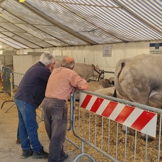 (Foto di repertorio)
