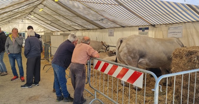Cavour Carne cambia pelle e si trasforma in ‘Terre e Cibo’