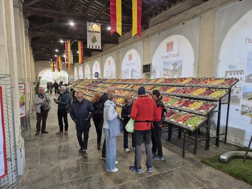 Si chiude il sipario su Tuttomele 2025 con tre giorni di musica, gusto e tradizione a Cavour