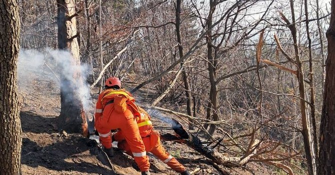 Aib in azione Aib in azione