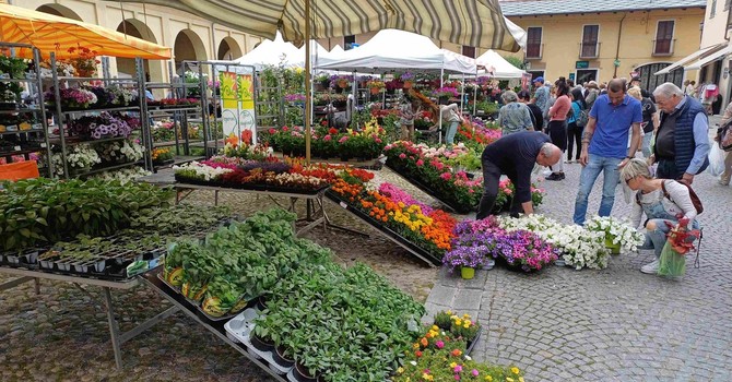Alla scoperta di fiori e del centro storico per un fine settimana ai piedi della Rocca
