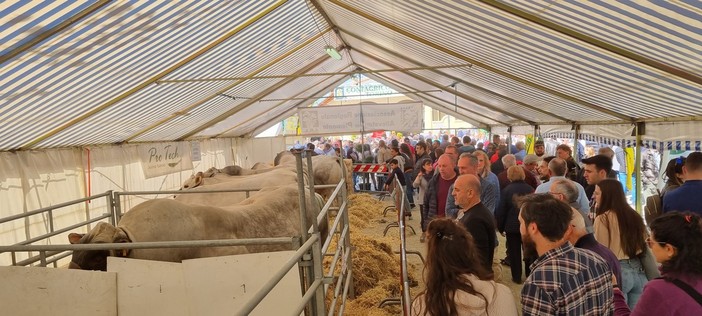 (Foto di repertorio)