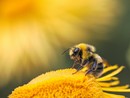 Foto di Dmitry Grigoriev - tramite Unsplash Foto di Dmitry Grigoriev - tramite Unsplash