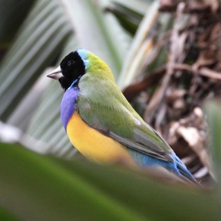 (Foto di Elena Livia Pennacchioni)