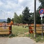 I lavori a La Grà I lavori a La Grà