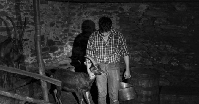 Uno degli scatti di Aurelio Sartor Uno degli scatti di Aurelio Sartor