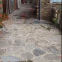 Giovane cervo sbranato in centro a Pequerel, la scia di sangue lungo la strada Giovane cervo sbranato in centro a Pequerel, la scia di sangue lungo la strada