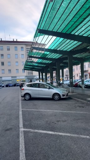 Vento forte: danni in piazza Roma a Pinerolo, stop al mercato del produttori