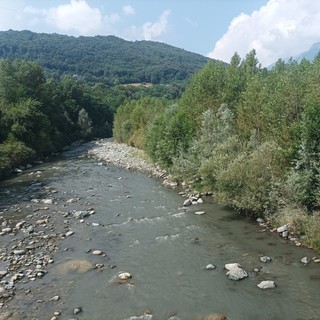 Il Pellice torbido
