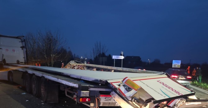 Quarti e mezzene di mucche su strada: traffico in tilt in via Saluzzo a Osasco Quarti e mezzene di mucche su strada: traffico in tilt in via Saluzzo a Osasco