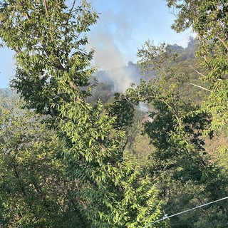 Luserna San Giovanni: fiamme nel bosco del Bric di Bandì
