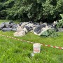 I rifiuti abbandonati