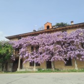 La casa del glicine, dove ha vissuto Alba de Céspedes