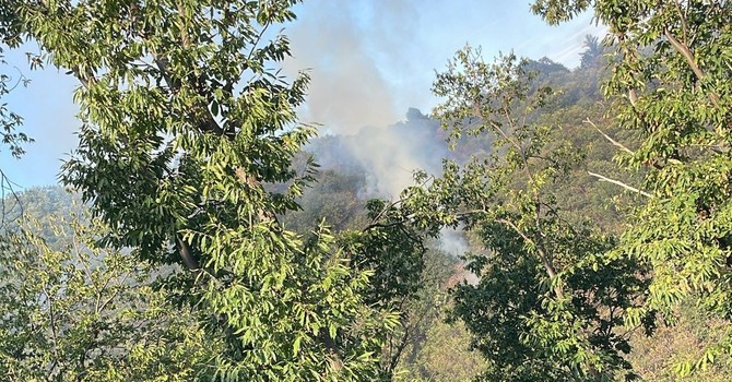 Luserna San Giovanni: fiamme nel bosco del Bric di Bandì