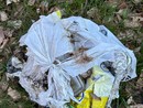 A Luserna San Giovanni aumentano i rifiuti abbandonati: la videosorveglianza non basta