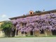 La casa del glicine, dove ha vissuto Alba de Céspedes