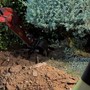 L’escavatore in azione