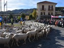 A rischio la sfilata della prossima Fiera dei Santi