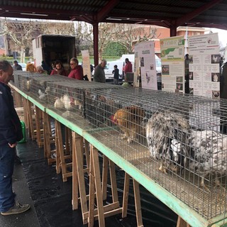 (Foto di Christian Bosio)