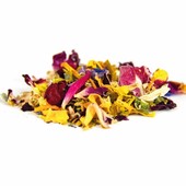 &quot;L'arte di cucinare con i fiori: bellezza e sapori in tavola&quot;