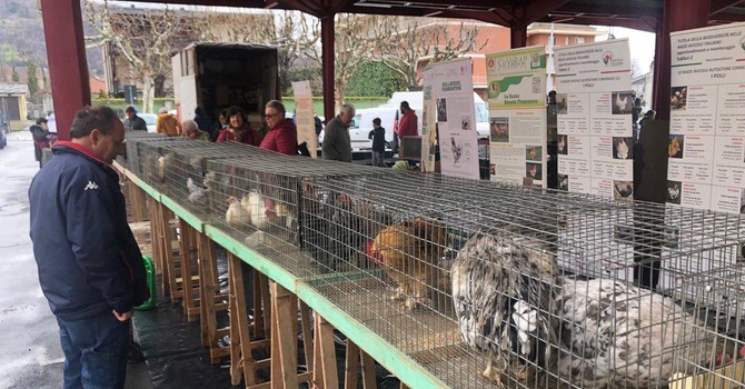 (Foto di Christian Bosio)