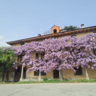 La casa del glicine, dove ha vissuto Alba de Céspedes