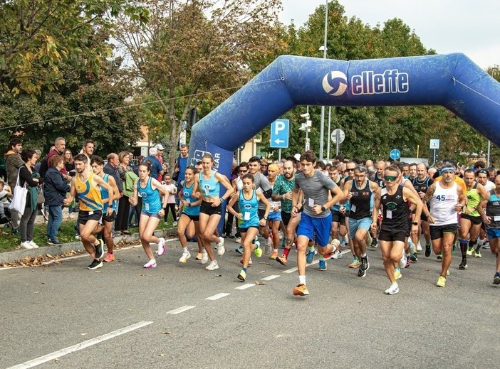 (Foto di Claudio Bonifazio) (Foto di Claudio Bonifazio)