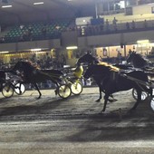 All'ippodromo di Vinovo  conto alla rovescia per il Gran Premio Marangoni